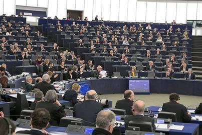 Plenary vote